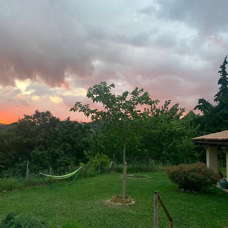 Agriturismo Il Covo Del Solengo Valtopina Екстер'єр фото