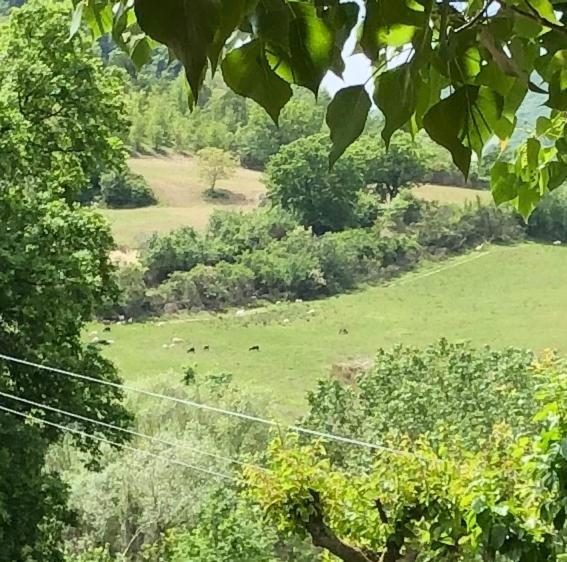 Agriturismo Il Covo Del Solengo Valtopina Екстер'єр фото