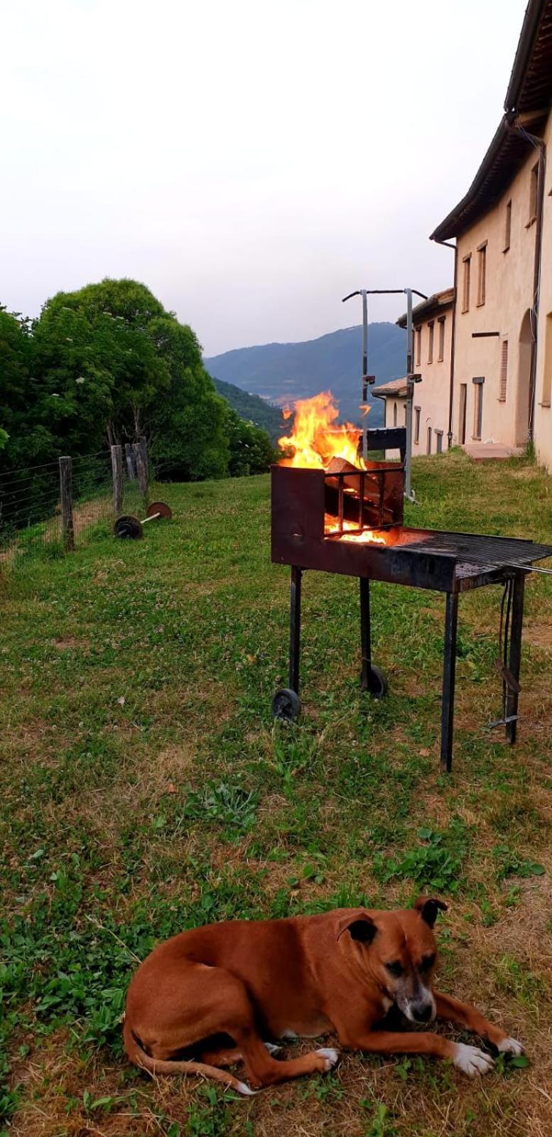 Agriturismo Il Covo Del Solengo Valtopina Екстер'єр фото